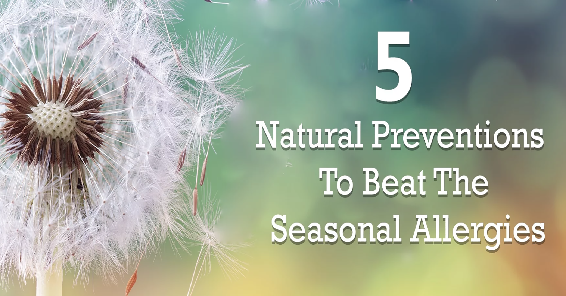 15) 5 NATURAL PREVENTION TO BEAT THE SEASONAL ALLERGIES