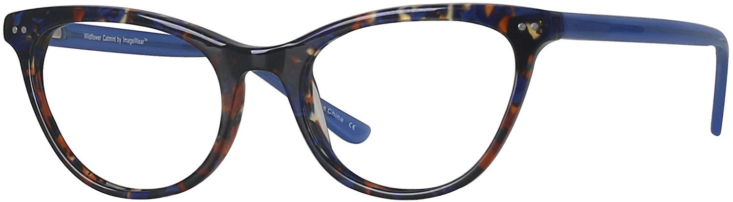 Wild Flower Catmint 139312