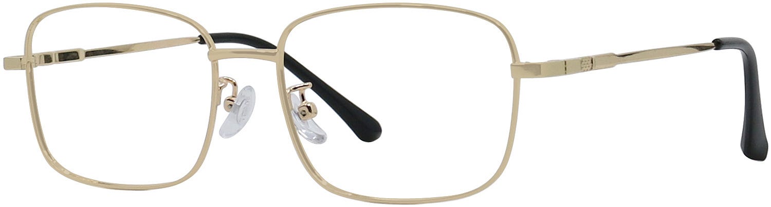 Titanium Eyeglasses 160149-c